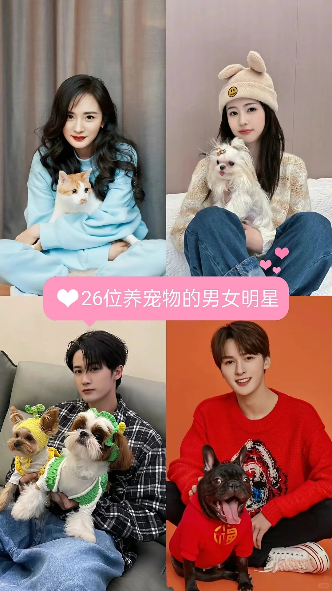 动物奇遇记动物奇趣  这么多明星和他们的毛孩子同框！赵丽颖的白狗、虞书欣的博美、
