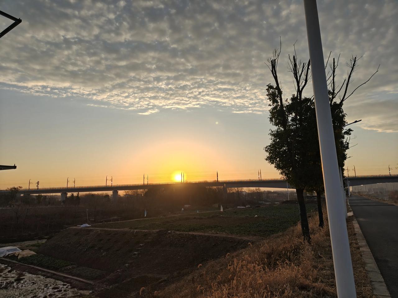 清晨的阳光让人充满了希望，大家是这样的感觉吗？