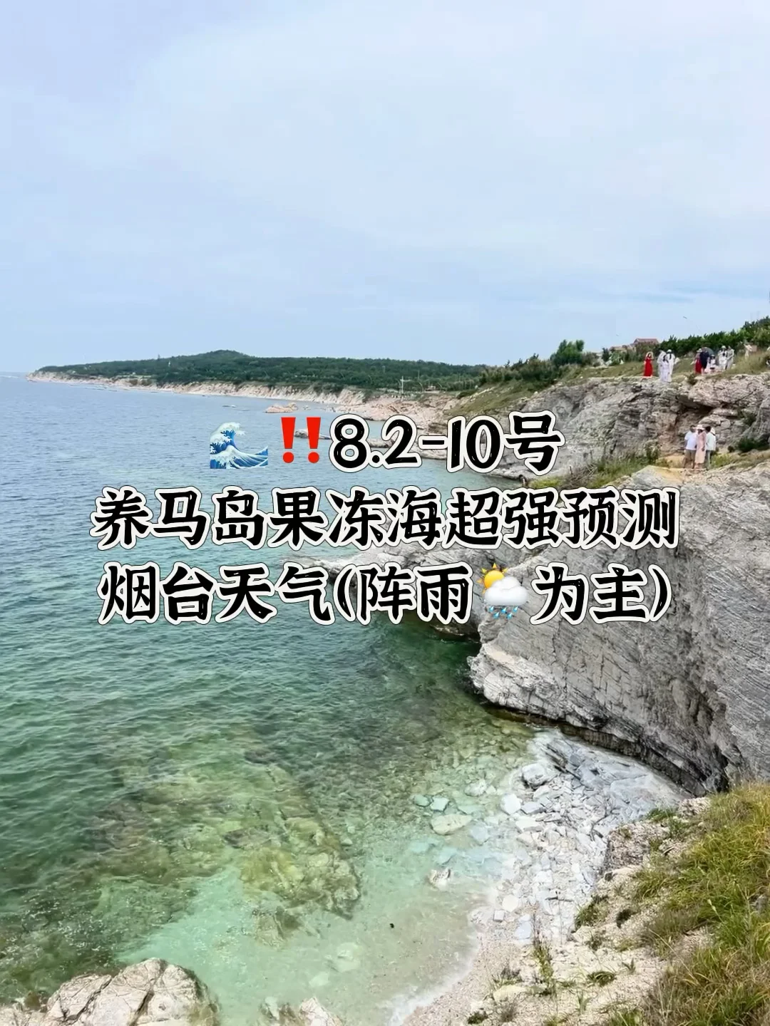 📍8.2-10号烟台养马岛果冻海超强预测