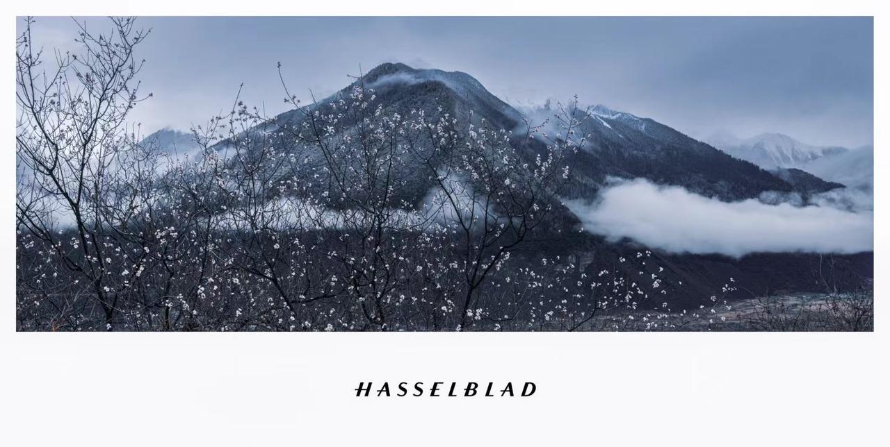 即便没有阳光，雪山依旧傲然挺立。
（朱悦Michael苏垦生化琴）冬日雪山风光 