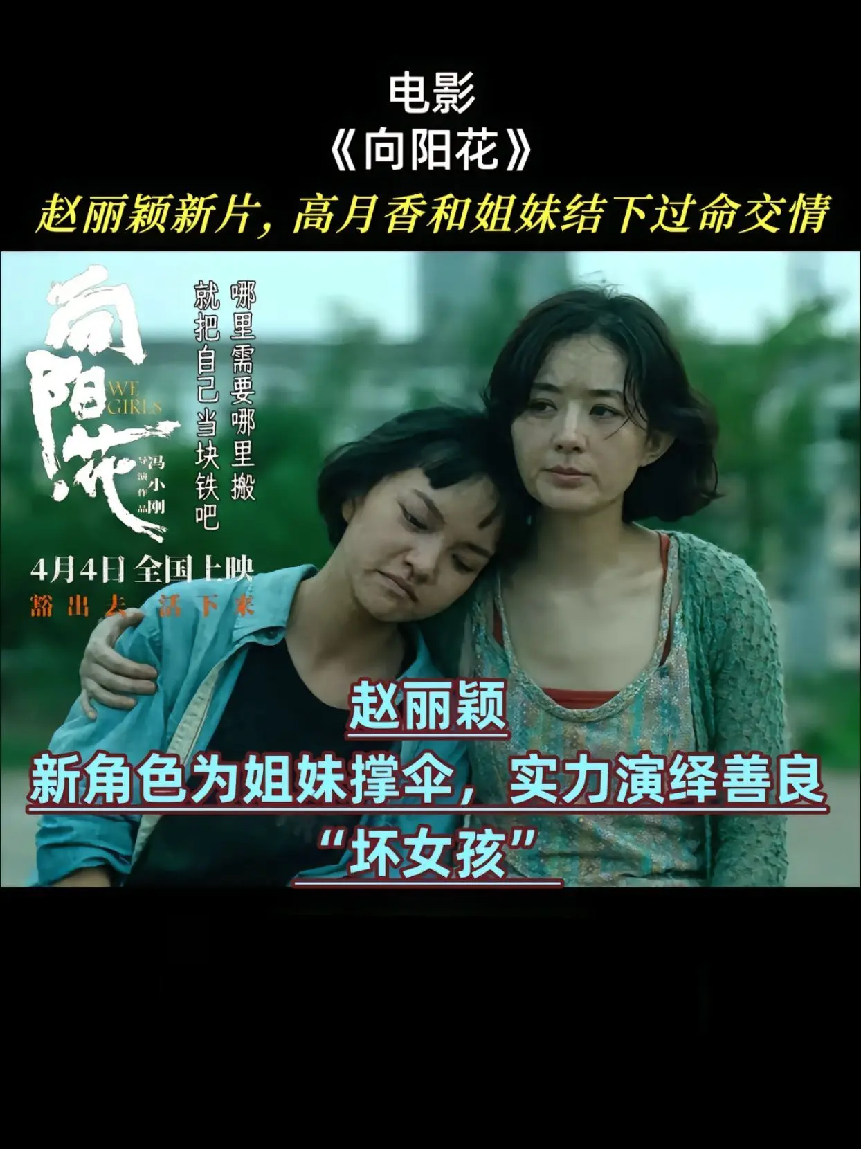 向阳·花 赵丽颖 兰西雅 电影
