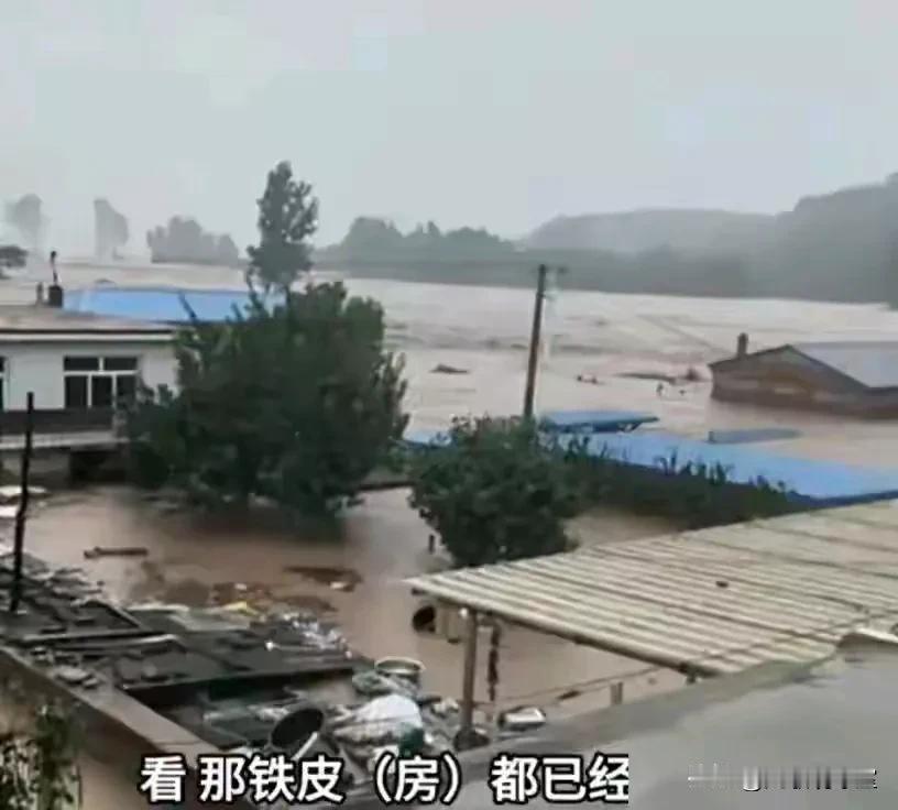 辽宁省发生特大洪涝灾害，辽篮这么多人为什么只有杨鸣指导才捐款10万元，其他人呢？