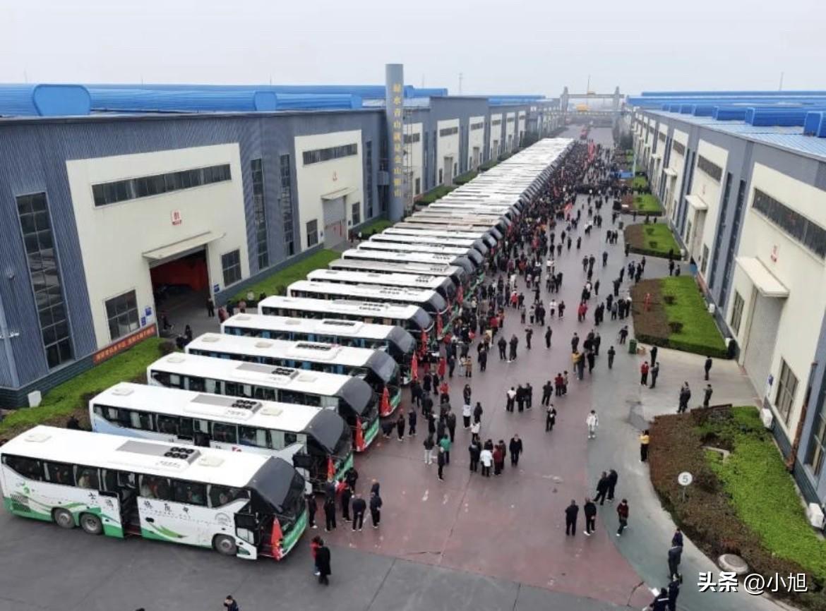 早晨五点多，天刚蒙蒙亮。
崔培军站在车队前面，78辆大巴整整齐齐排着，他挨个给司