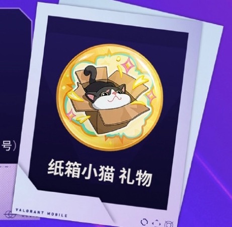 礼物是纸箱小猫，“王哥请客送出新年开门红”🤣争夺“最强猫猫王”所以猫猫王🟰猫