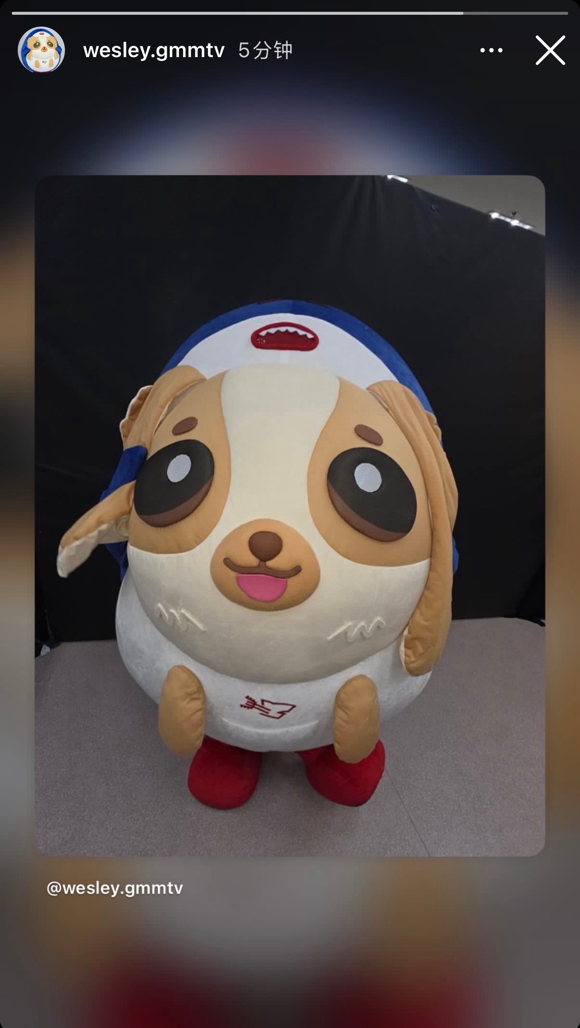 谁跟狗蛋说的鱼眼镜头显瘦 