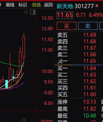 零售连锁板块早盘拉升走强，$新天地 sz301277$ 短线加速上涨，现价11.