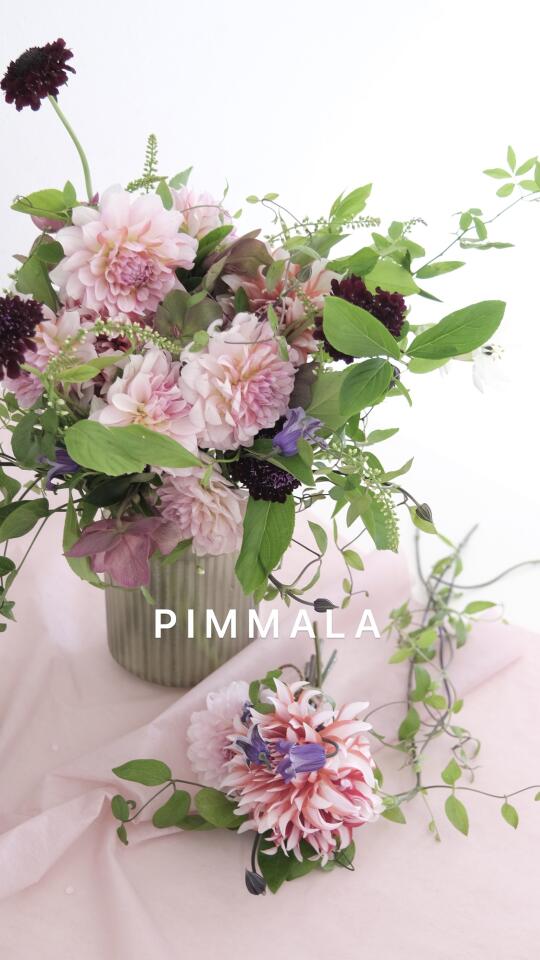 PIMMALA｜优雅的精灵之花