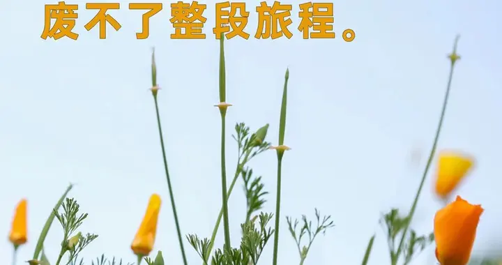 新年开工第一天，致奋斗路上的你