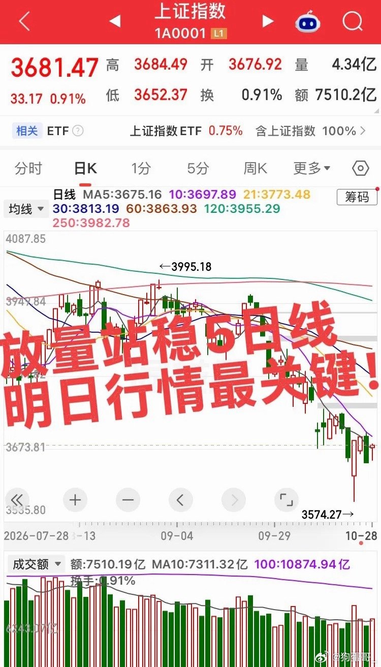 马斯克言论引爆存储板块放量站稳5日线，明日行情最关键！资金+技术+个股！资金情况