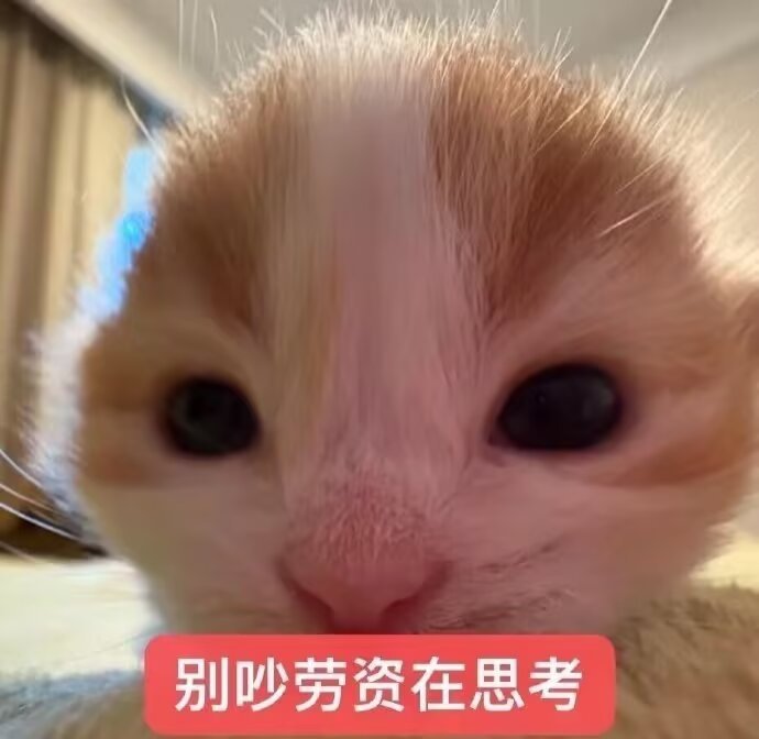 额内娱现在真的好多过程剧情很好看的剧结局大烂尾