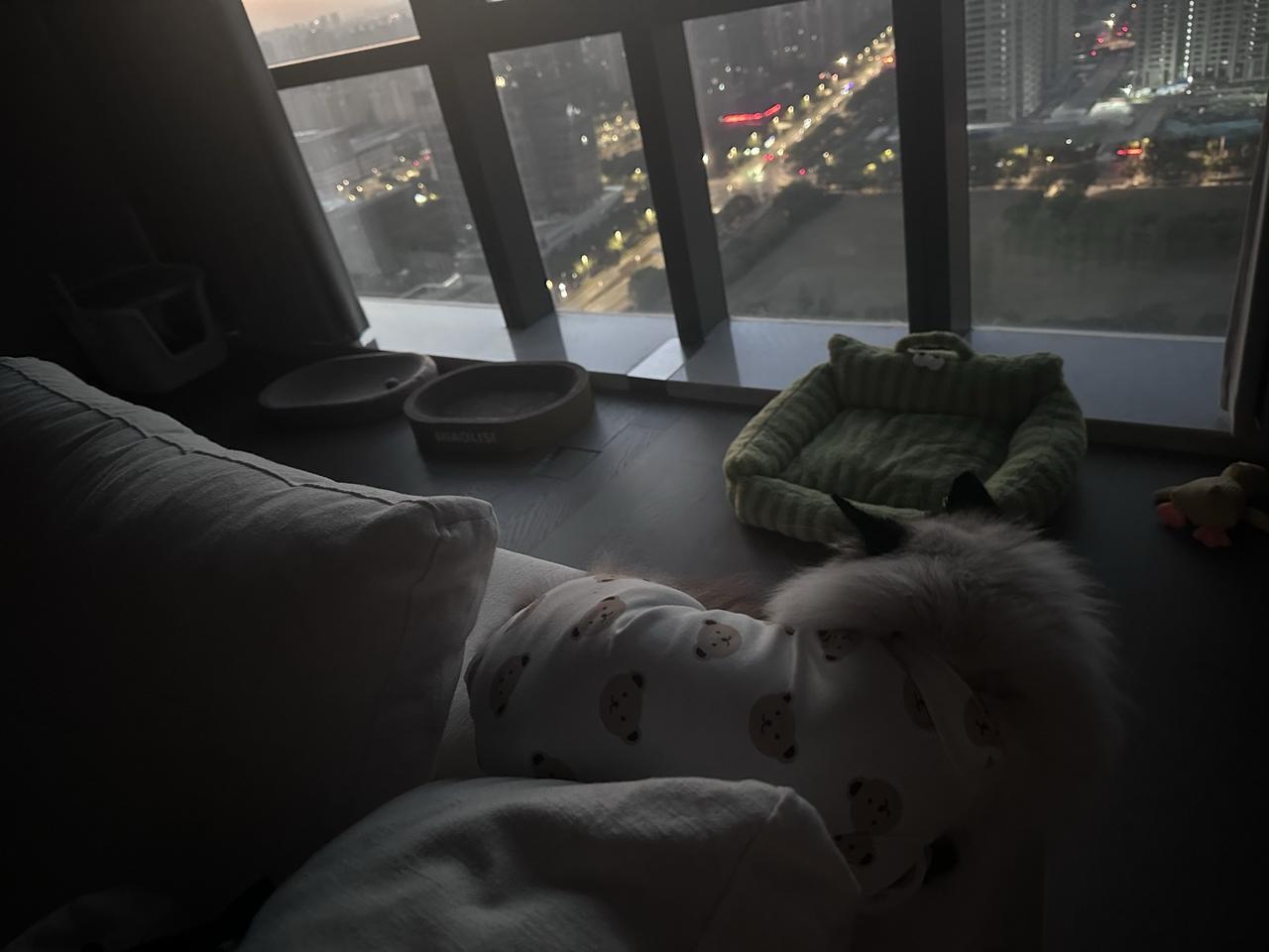 被爱总是值得被记录ꔫ✧˖*