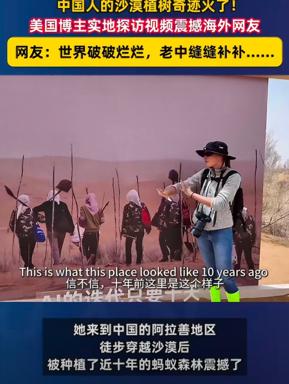 海外网友说只有中国在让世界变美好外国博主实地打卡大漠绿洲，亲身见证震撼治沙成果。