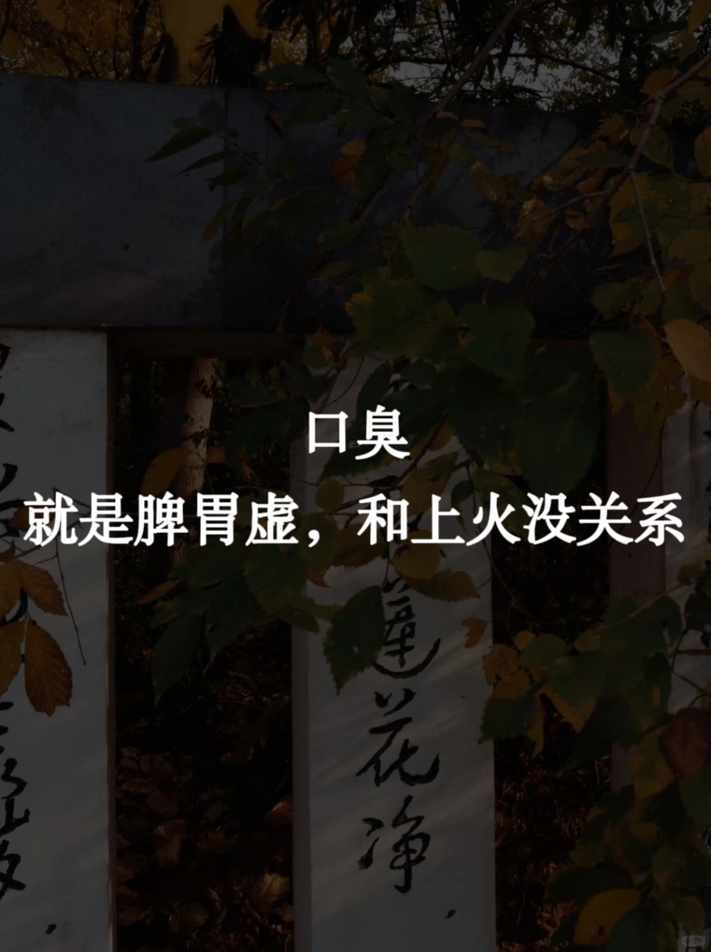 口臭，就是脾胃虚，和上火没关系‼️