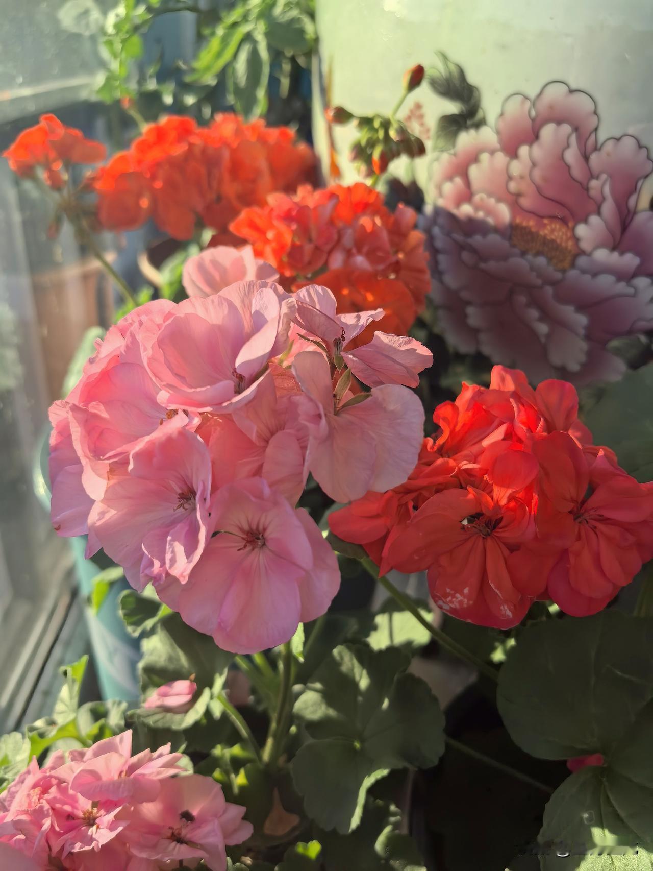 大消息，西方突发大消息！小鹰战争部部长表示，小鹰工业体系将进入战时状态，疯狂生产