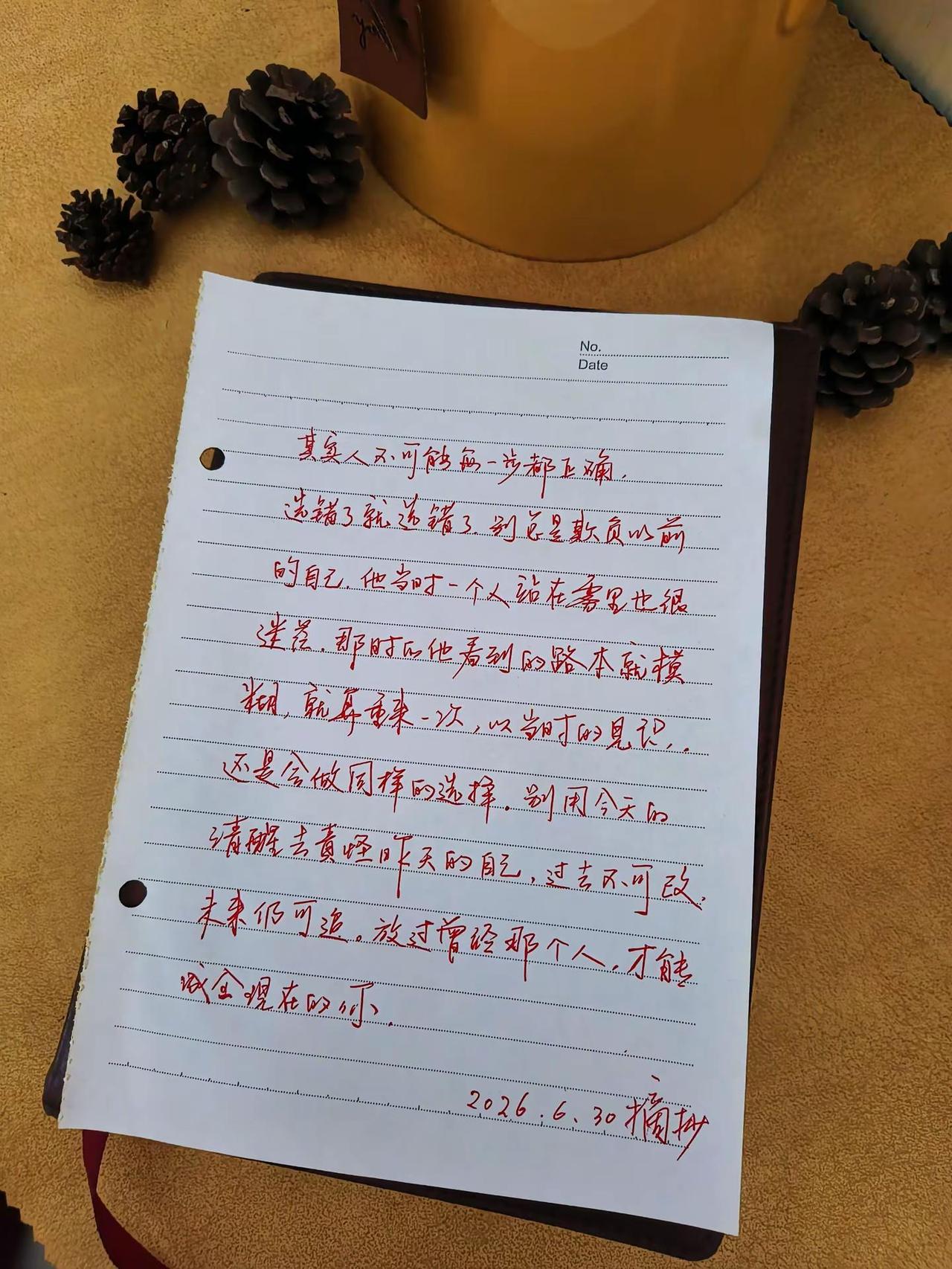 其实人不可能每一次都正确...我的摘抄本 书写治愈
