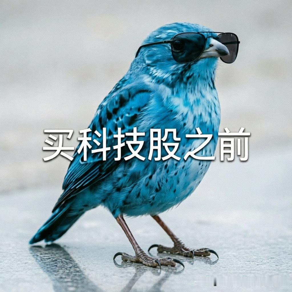 七月杀入芯光存储赛道的下场：
图一：买入科技芯光存储之前
图二：买入科技芯光存储