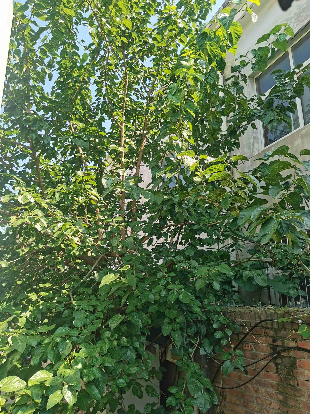 我的今日状态：😁轻松愉快
我这里的天气：☀️晴天