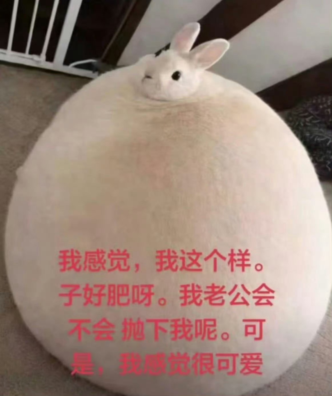 报备一下你们都在干啥，我想你们啦