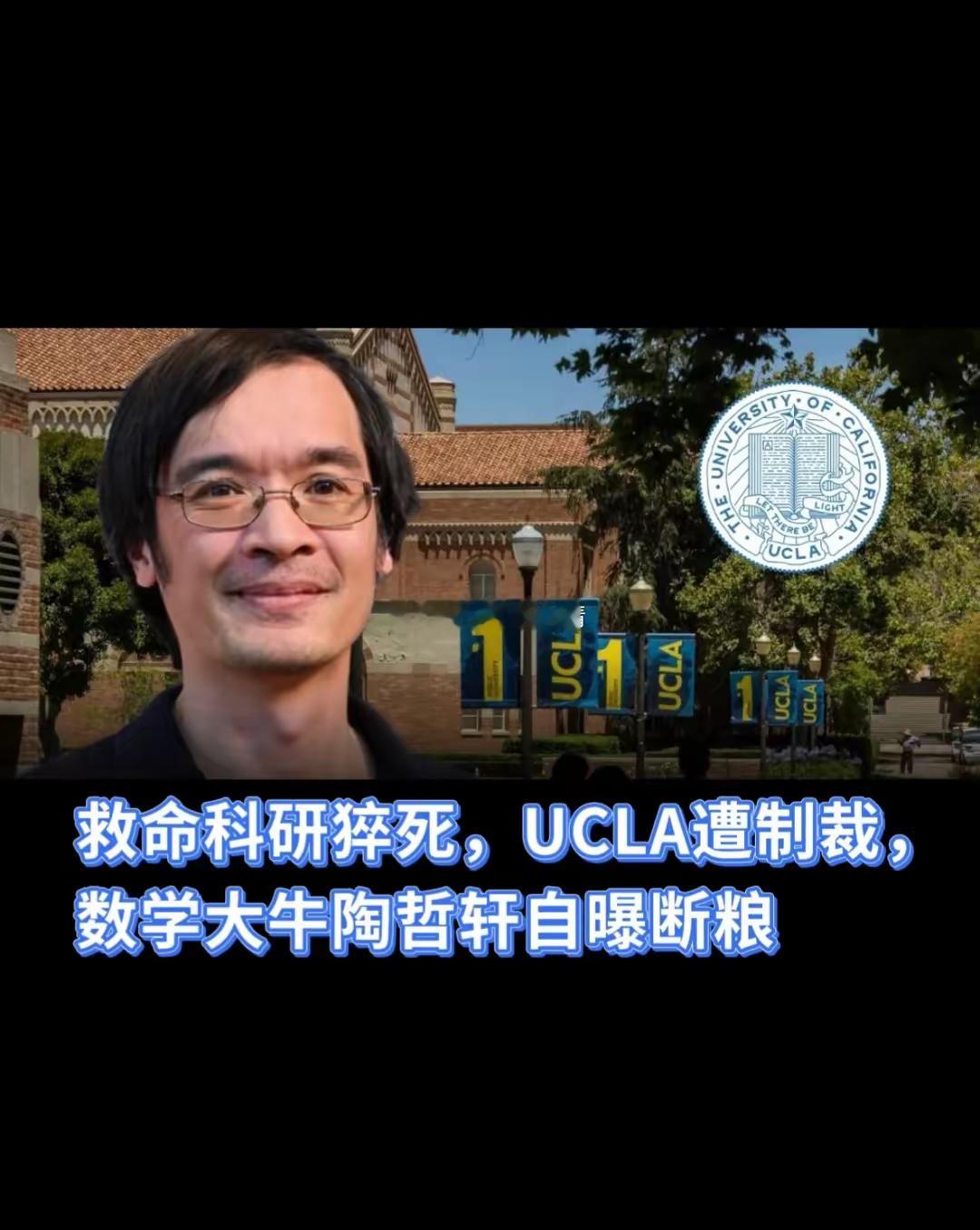 救命科研猝死，UCLA遭制裁，陶哲轩自曝断粮一夜之间，UCLA（加州大学洛杉矶分