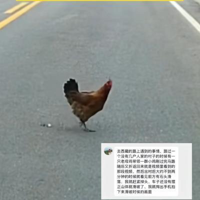 这下科学也解释不清了！西藏芒康县的一段山路上，一名男子驾车行进，前方忽然出现一小