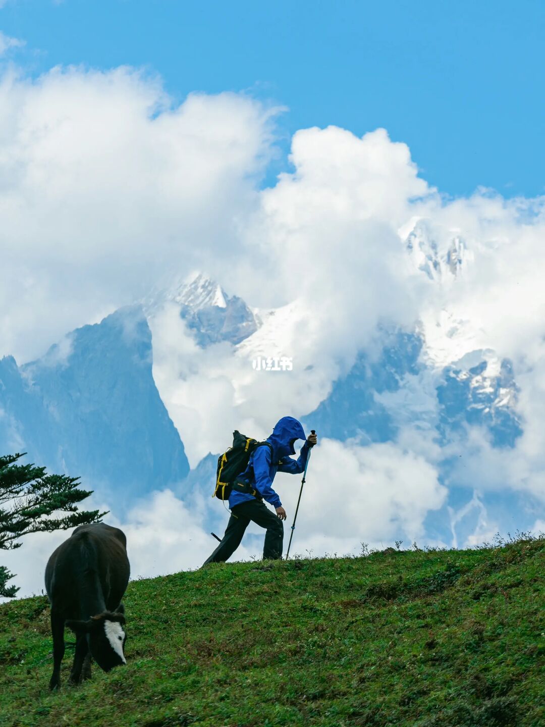 成都周边小众秘境，徒步雪山下的绿野仙踪