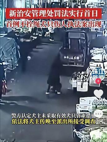 首例不拴绳犬只伤人执法案出现，要知道，从2026年1月1日起，根据新修订的治安处