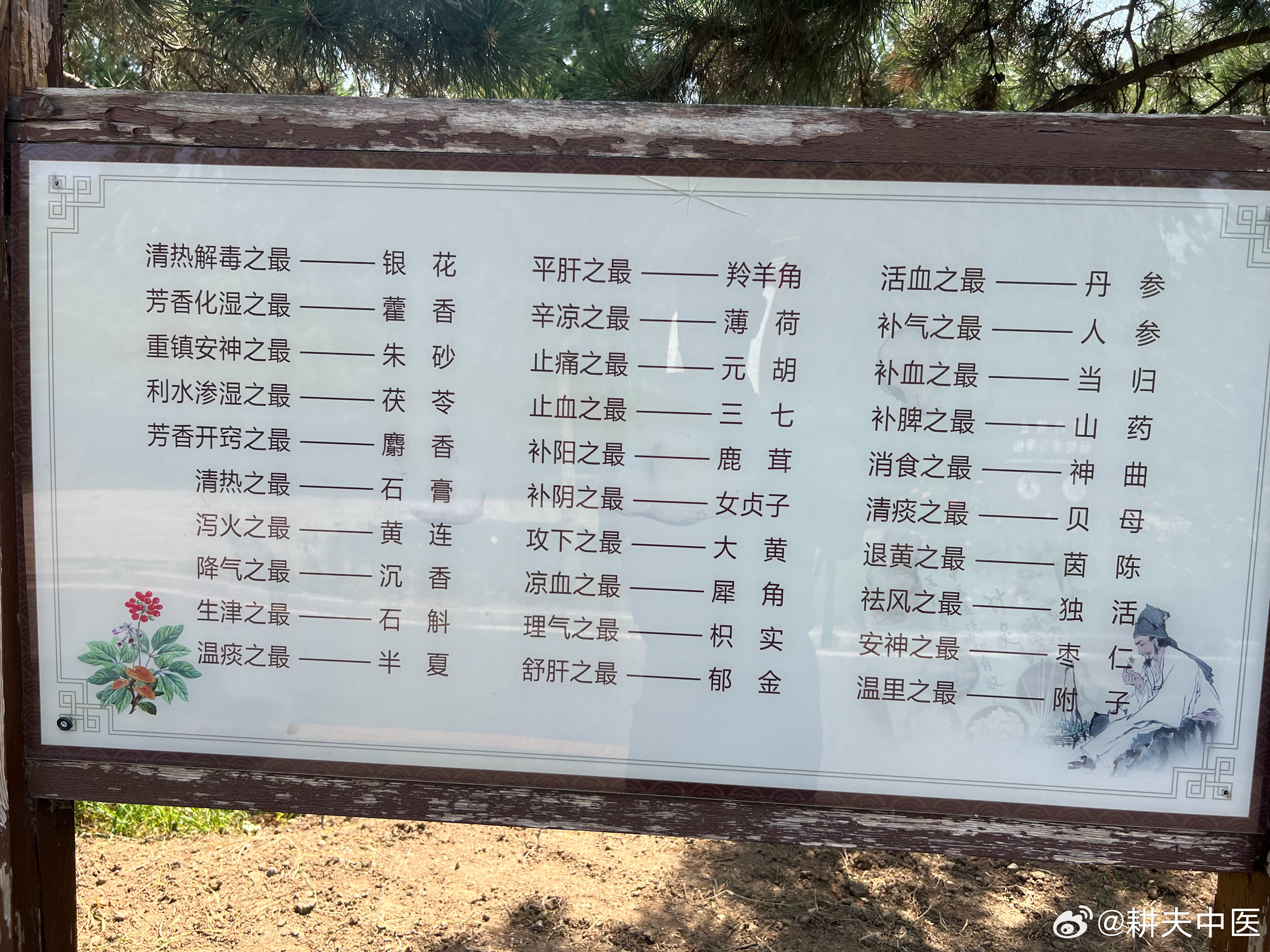 这三十个中药之最，还是挺有道理的 