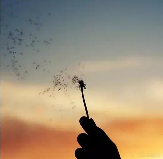 悬在半空的靴子·默斋主人原创散文人这一生，多数辗转难眠的时刻，并非困于当下的窘迫