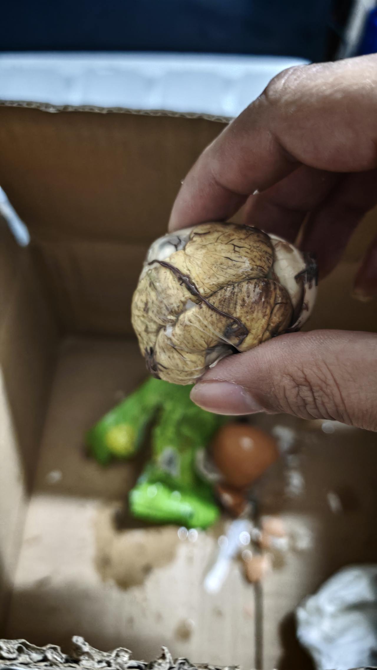 活珠子你敢吃吗？看着挺恶心的实际上吃着很上头，一块五一个比一般鸡蛋要贵，一般人吃