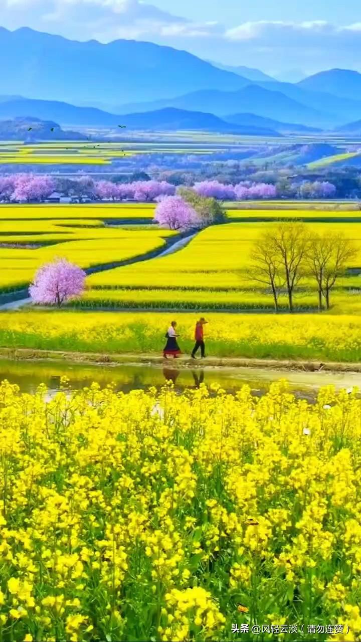 真正属于自己的幸福，从来都不复杂。
 
不是大富大贵，
不是人人羡慕，
而是简简