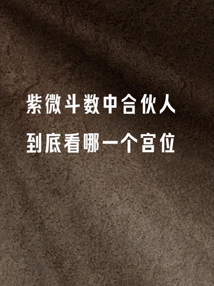 紫微斗数中合伙人到底看哪一个宫位？

不少玄友问我合伙做生意，都说看兄弟宫，但是