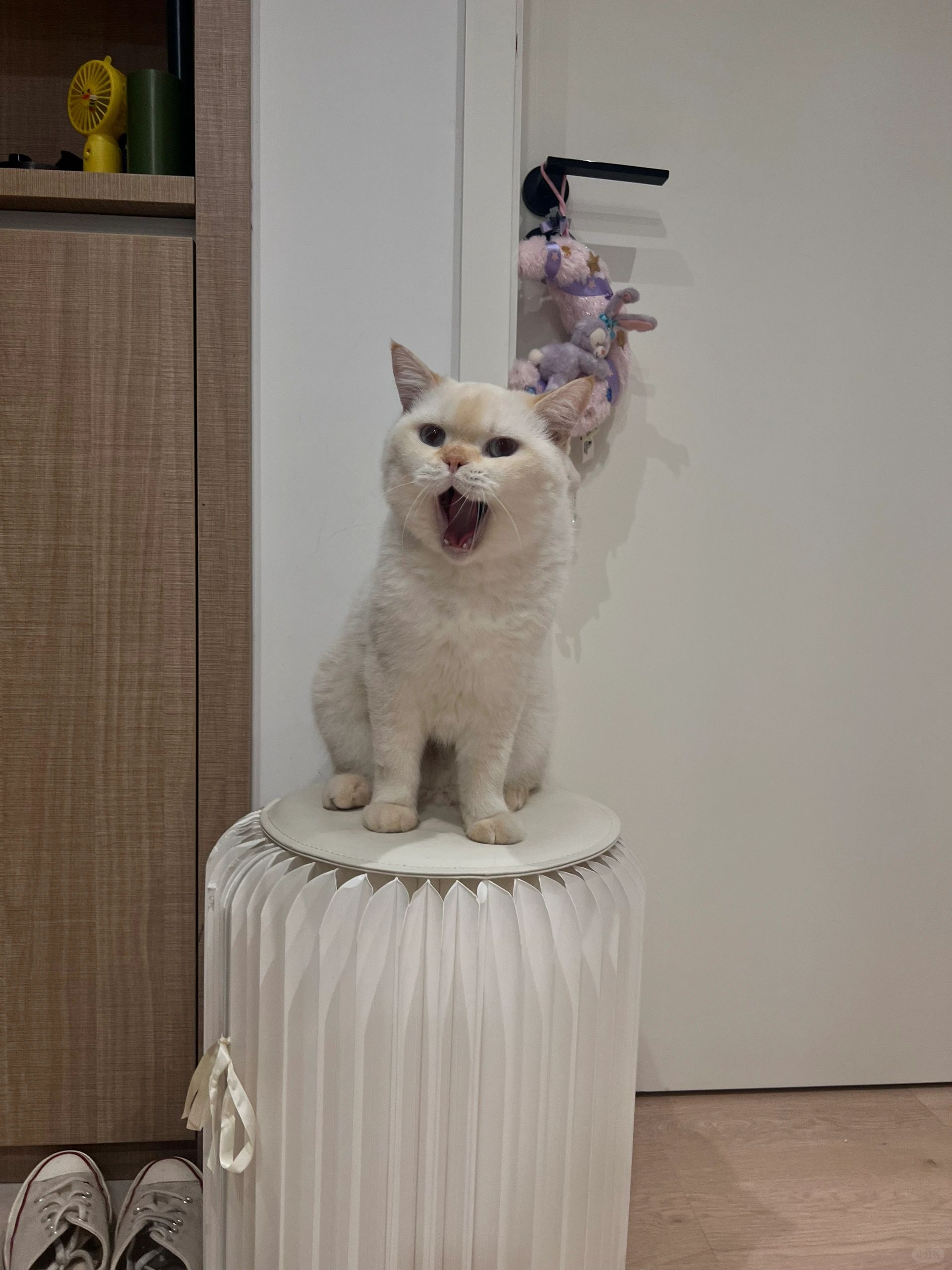 早啊ee们 周六快乐！