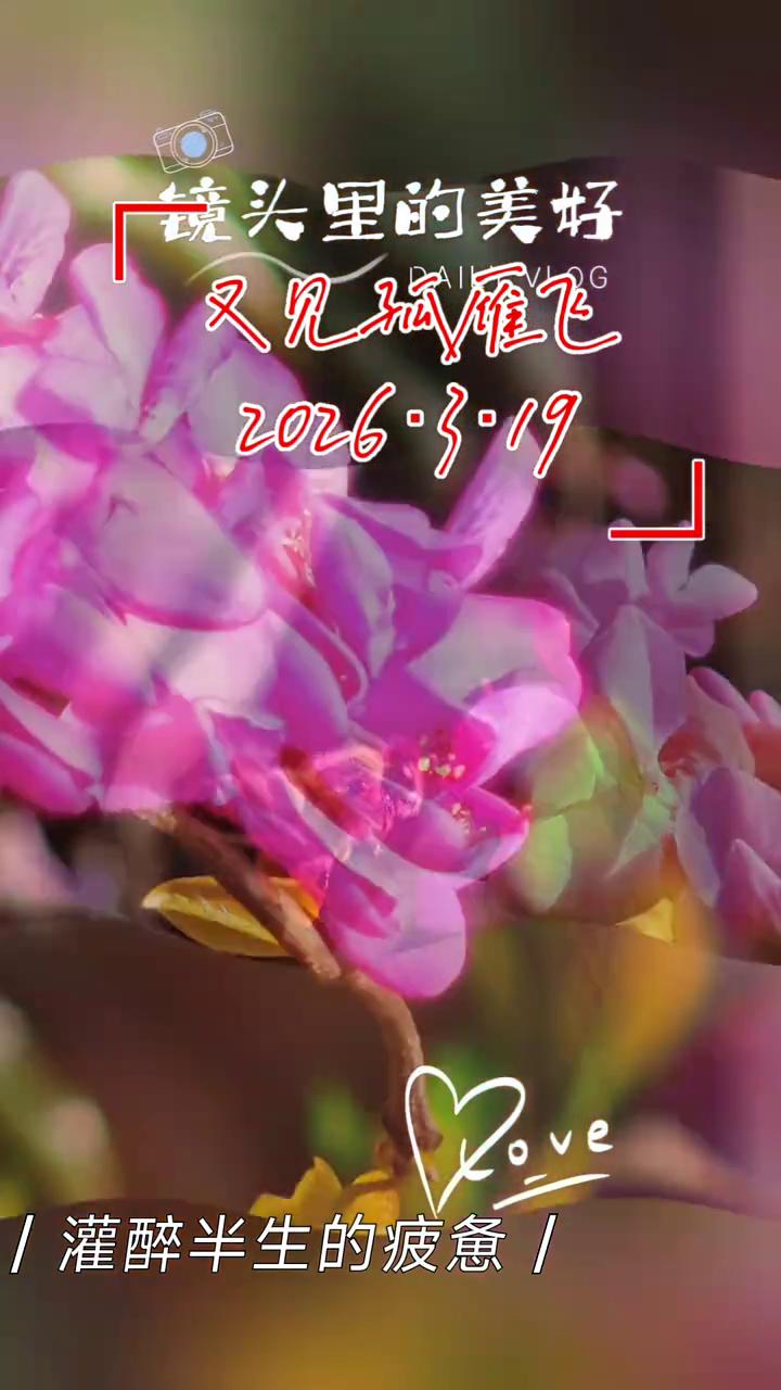 喜欢镜头里拍下的每个瞬间。
·又见那孤雁飞，晚风卷着余味，谁还在老地方，把心事堆