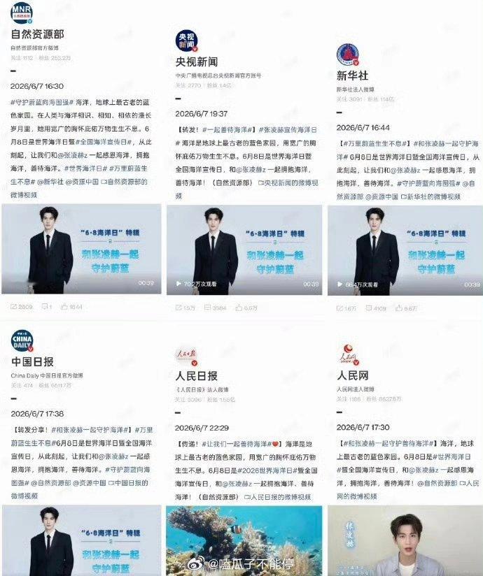 张凌赫 世界海洋日宣传官媒排面🈶 
