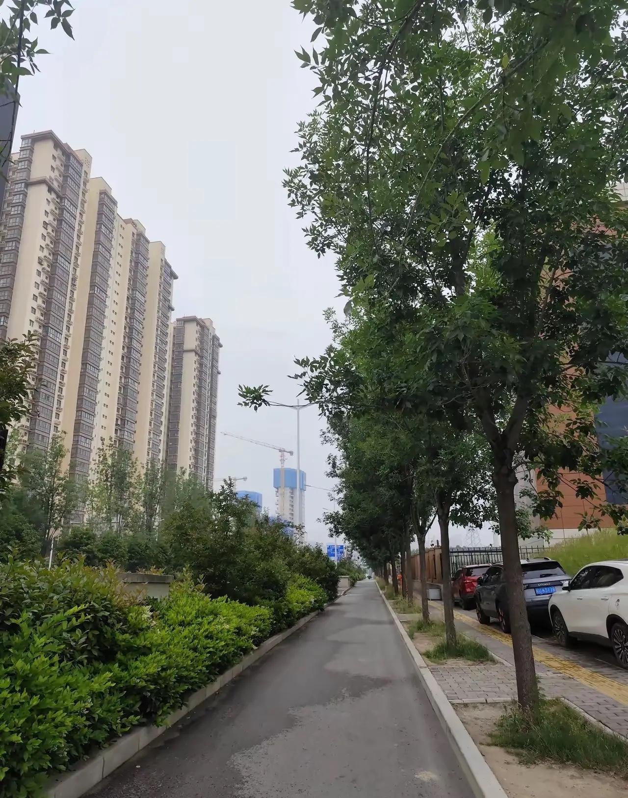 我供男友读博的第四年，他突然提出分手，我停了每月 8000 块钱转账。那天晚上，