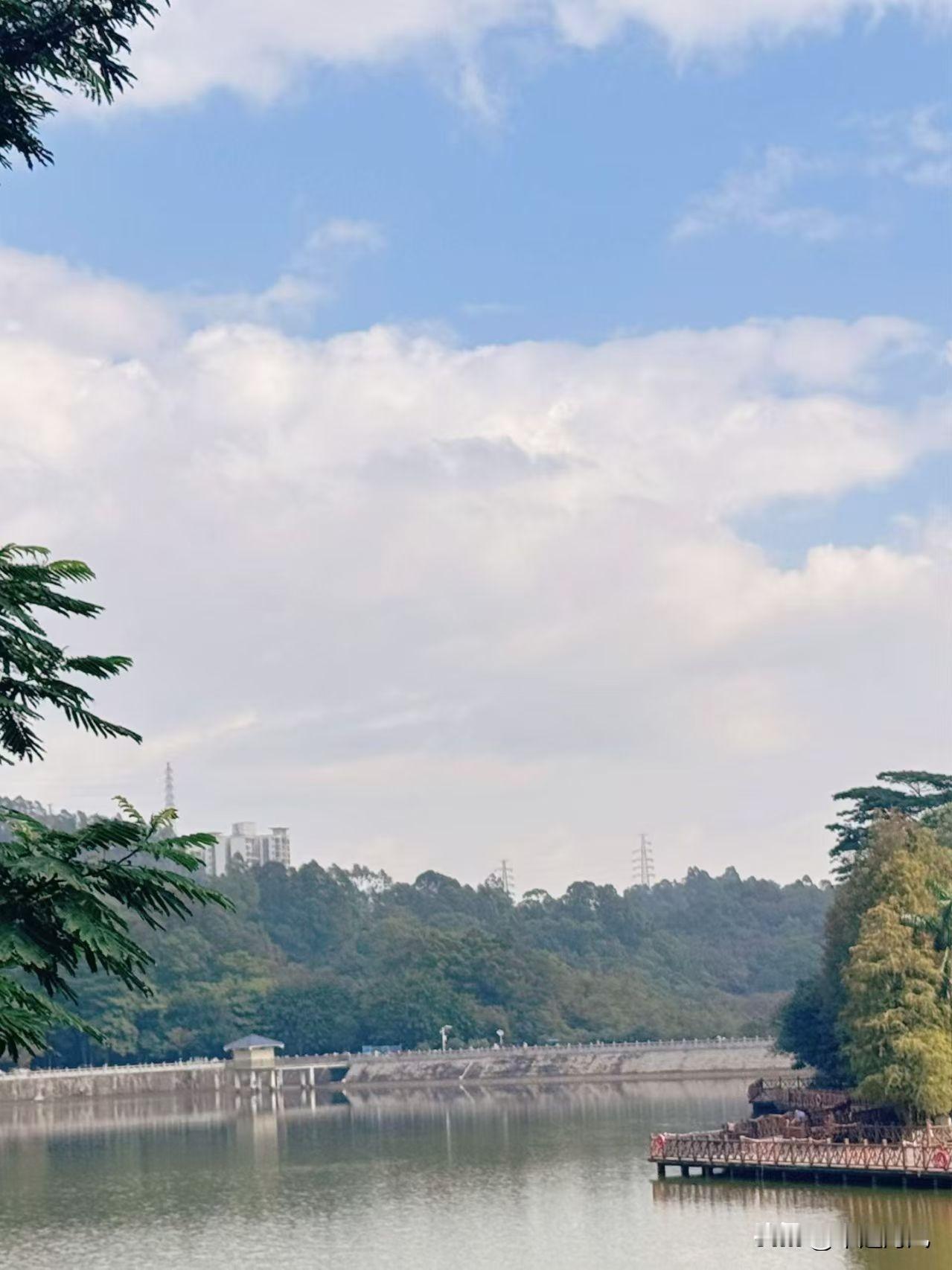 分享一张最近随手拍的照片