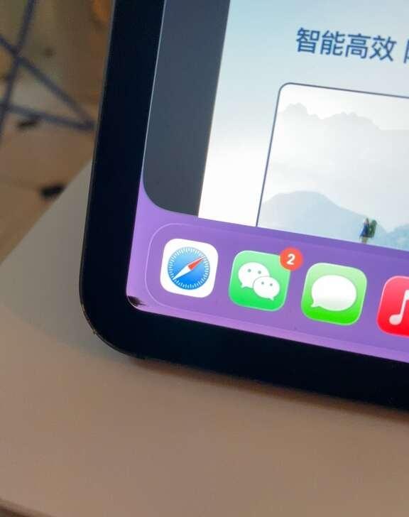 ipad pro 屏幕活了？
家里的18款ipad pro前一段时间突然出现屏幕