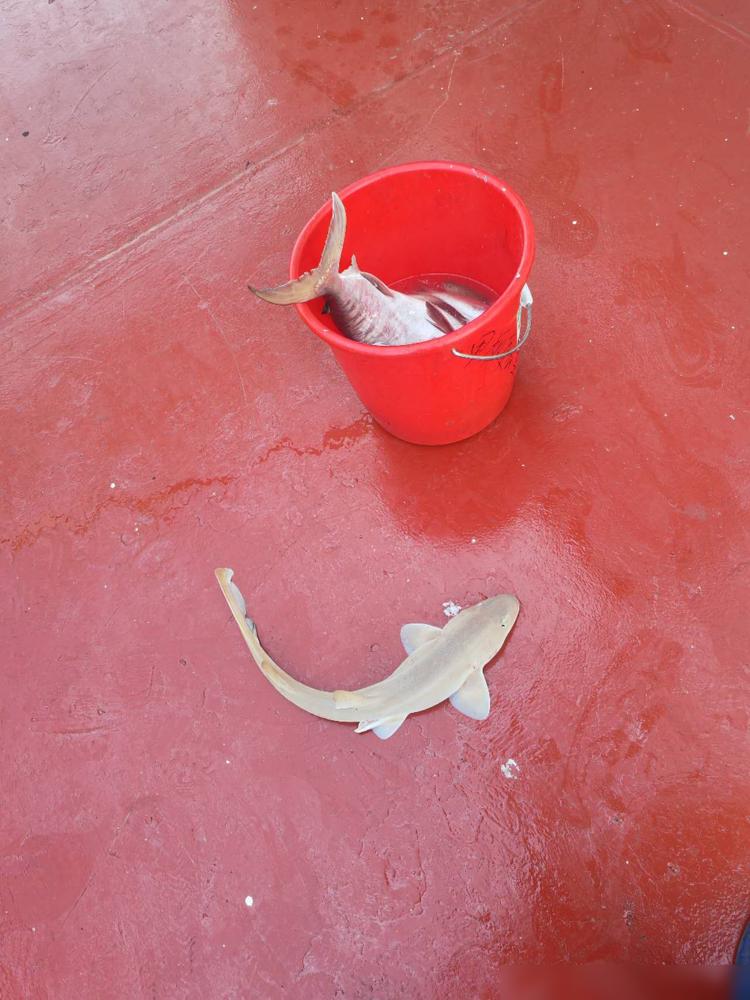 岸上架着导弹，海里堵着200多艘巨轮，我同学就在这片死地里，硬生生把战争前线变成