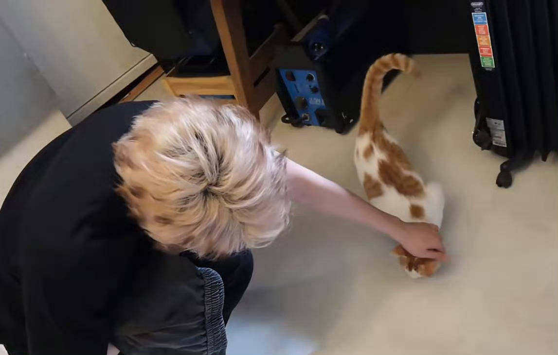 大咪撸小咪 好想rua一下左边的暹罗眯[奶牛猫][奶牛猫][奶牛猫] ​​​