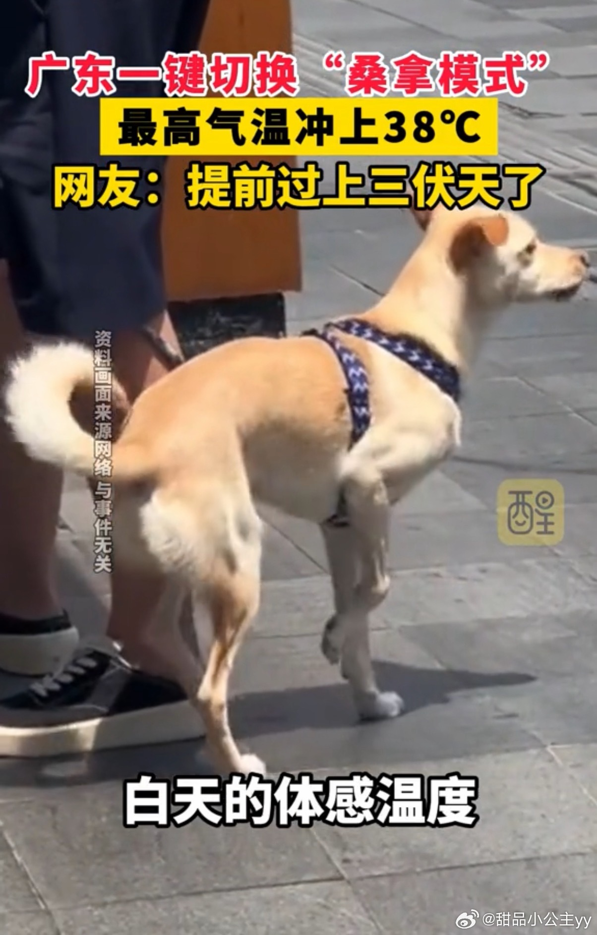 南方入夏以来最大范围高温来袭本次高温过程覆盖江南南部至华南全域，为今年南方最大范