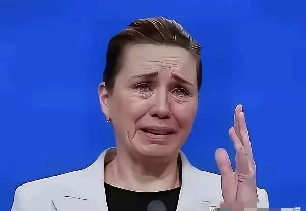 欧洲的绅士们，你们是来协助丹麦守卫格陵兰岛的，可不是来闹笑话的。
为应对美国对格