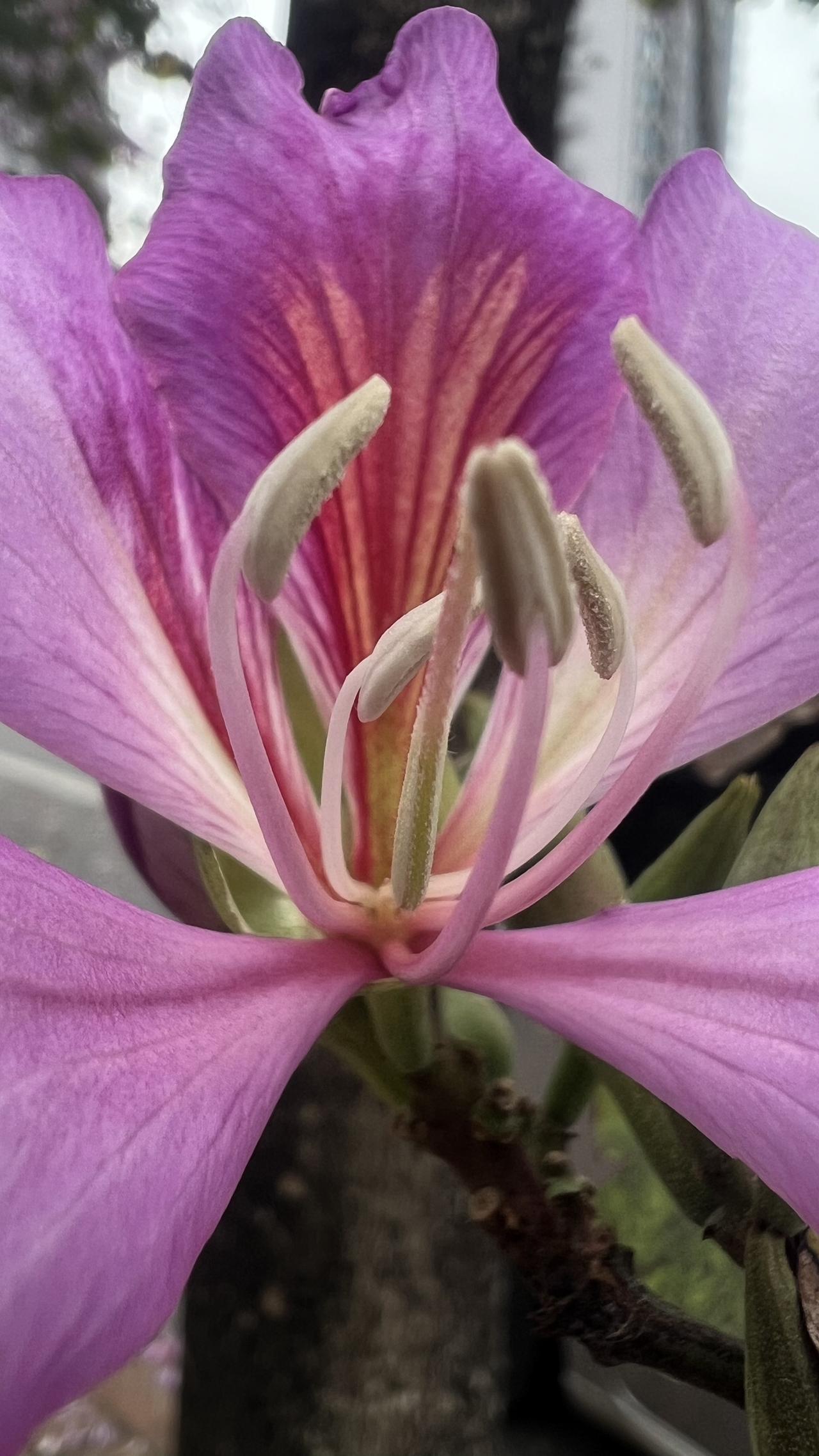 花开时节，轻松愉快，有🍂微风！