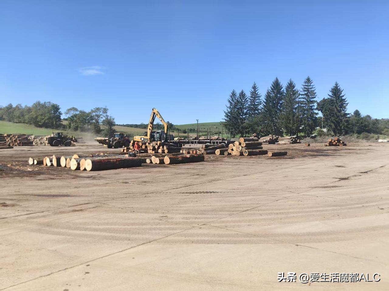 美国原木堆场