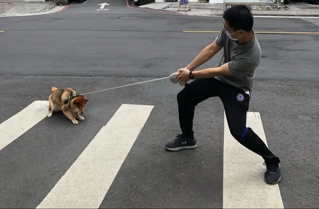 拔河比赛