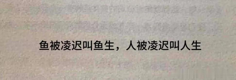 鱼有鱼生，人有人生，鱼被凌迟 叫鱼生，人被凌迟 叫人生。人活通透了，就会觉得处处