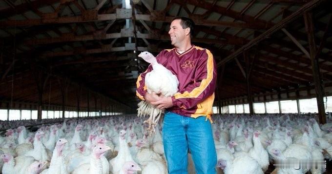 今年感恩节，大约有2亿只火鸡上了美国百姓的餐桌，价值37亿美元！美国明尼苏达州在