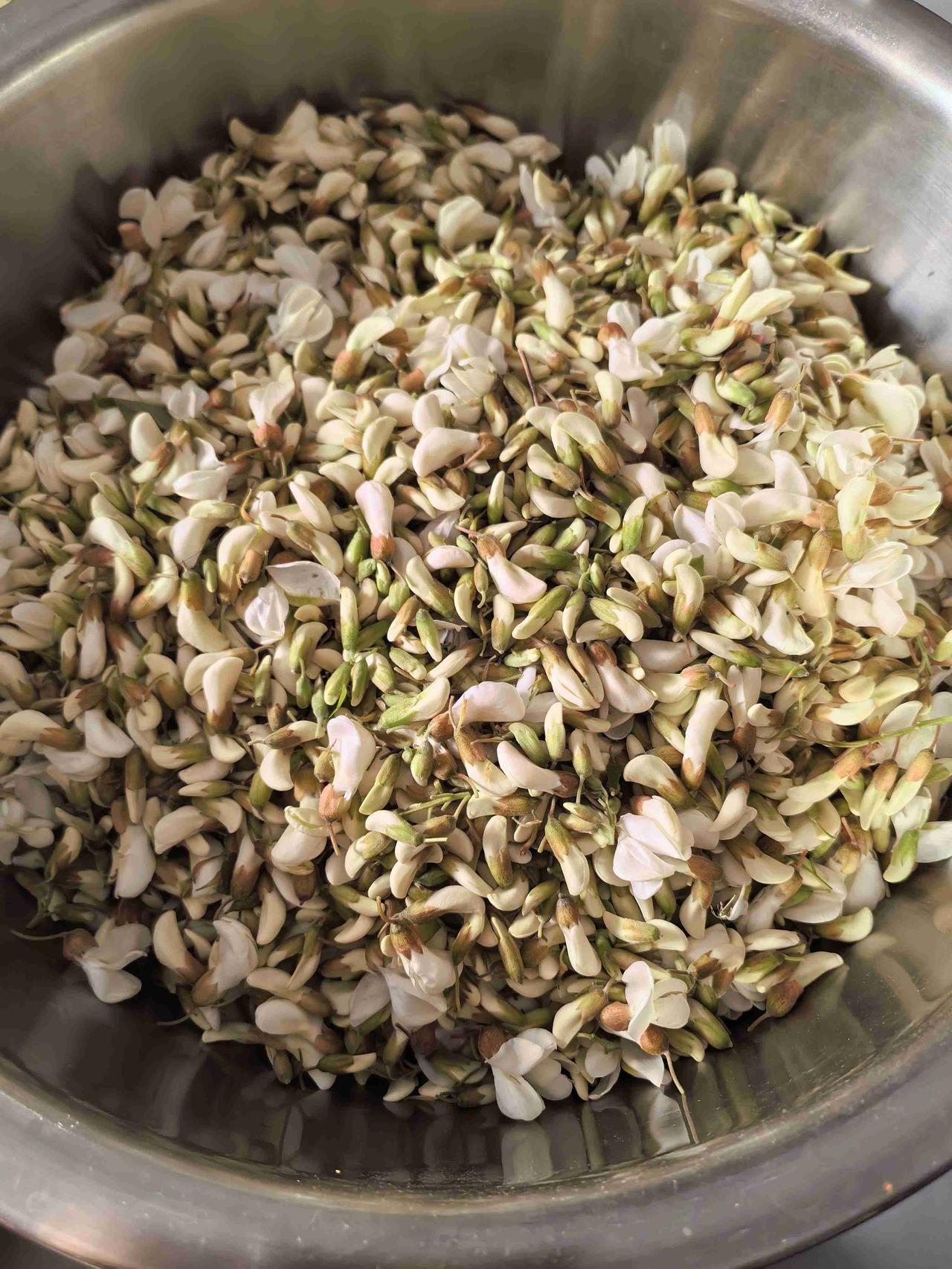 我发现我打槐花真是上瘾了，昨天采，今天还采，一闻到那清甜的花香就忍不住往树下跑。