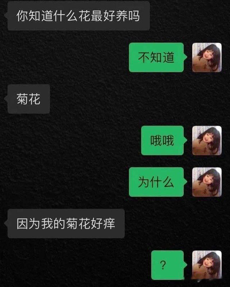 土味情话重振江湖