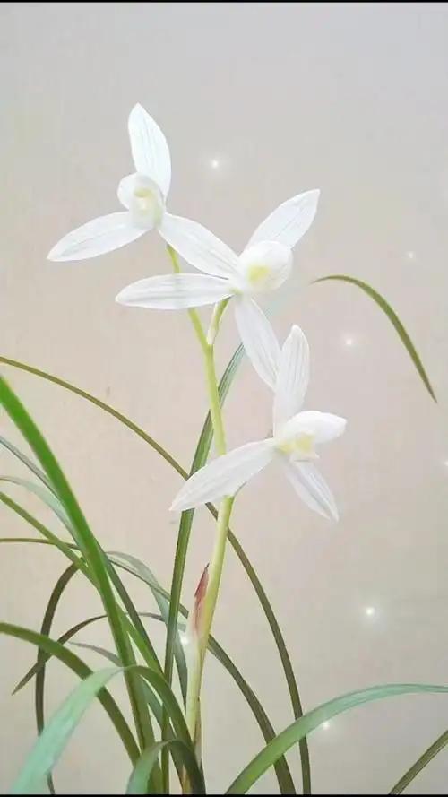 这样的女人，占五条就是“宝”！

1、爱干净，家里总是窗明几净。
2、会做饭，家