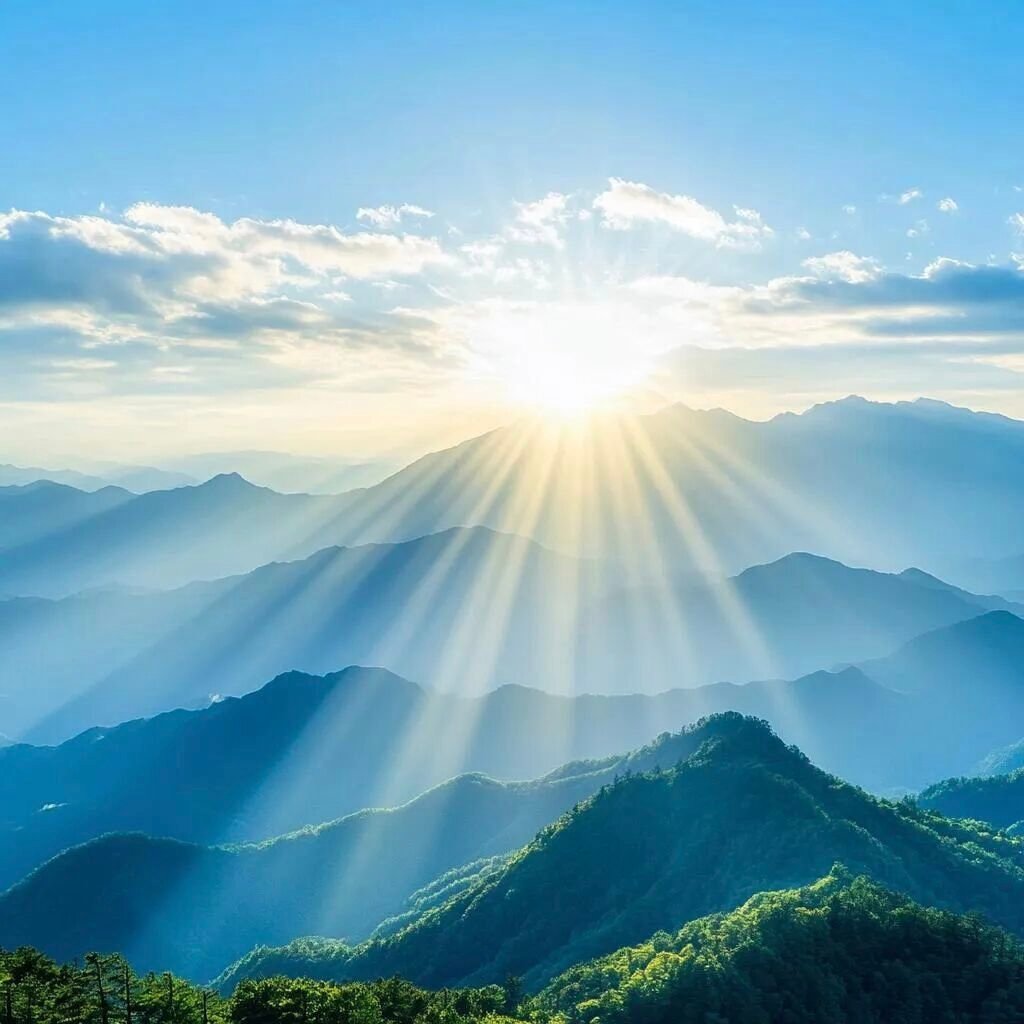 每日一善 心怀善意，步履向阳。每日一善，是对生活最温柔的回应。恪守信用，言行合一